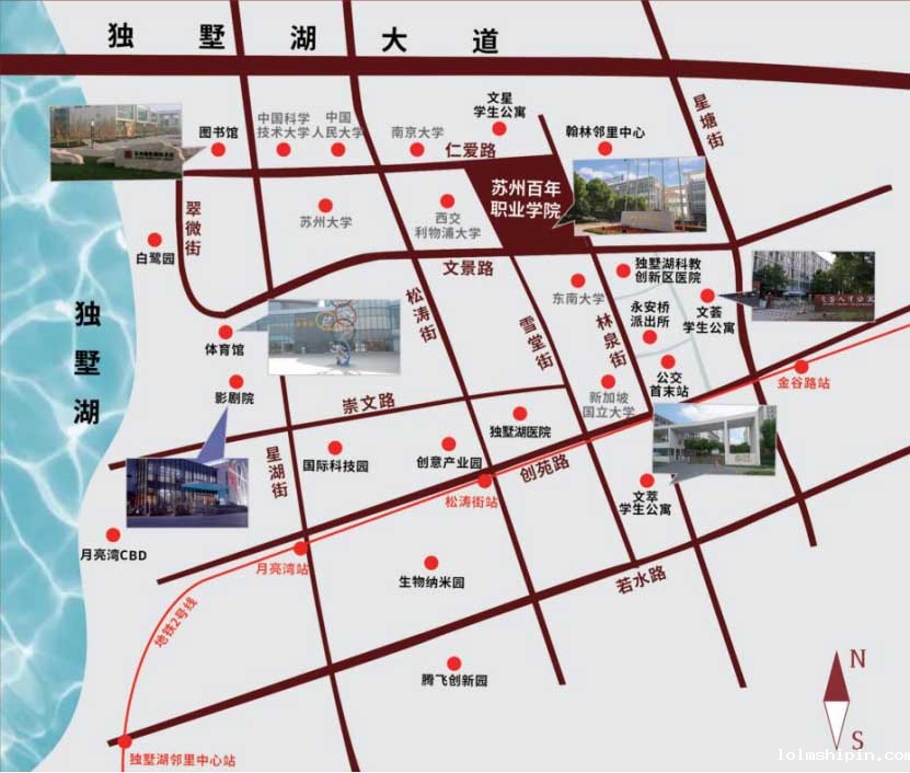 手机版伟德app客户端下载官网网址