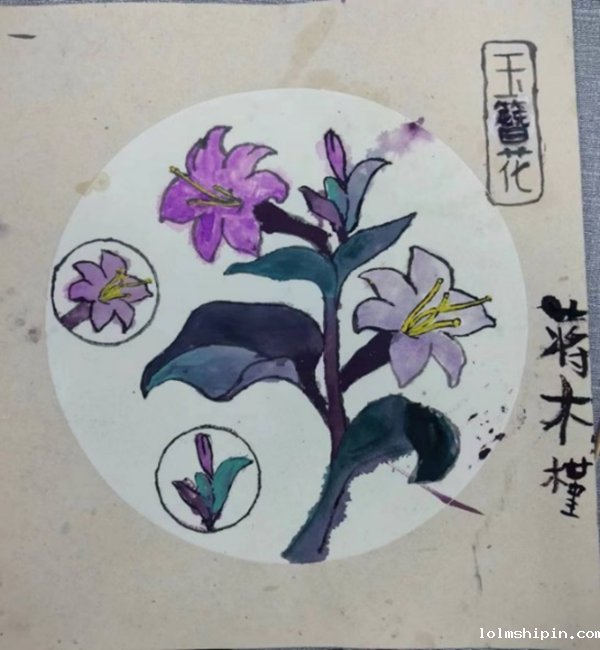 手机版伟德app客户端下载官网网址