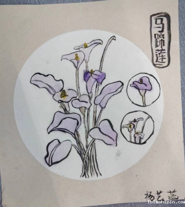 手机版伟德app客户端下载官网网址